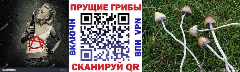 Псилоцибиновые грибы мицелий  Купить где  Кореновск 