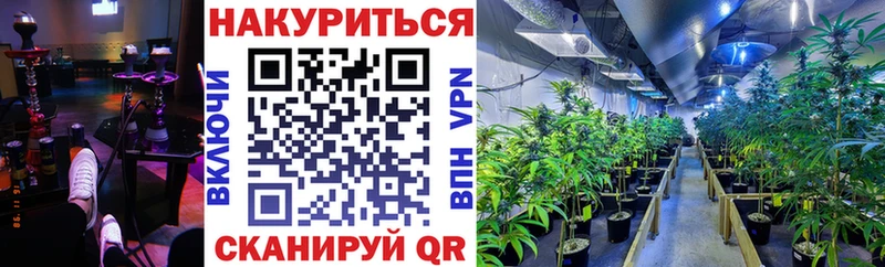 Конопля сатива  Купить закладки  Кореновск 